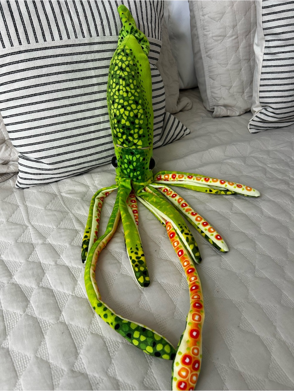 New Wild Republic stuffed Squid